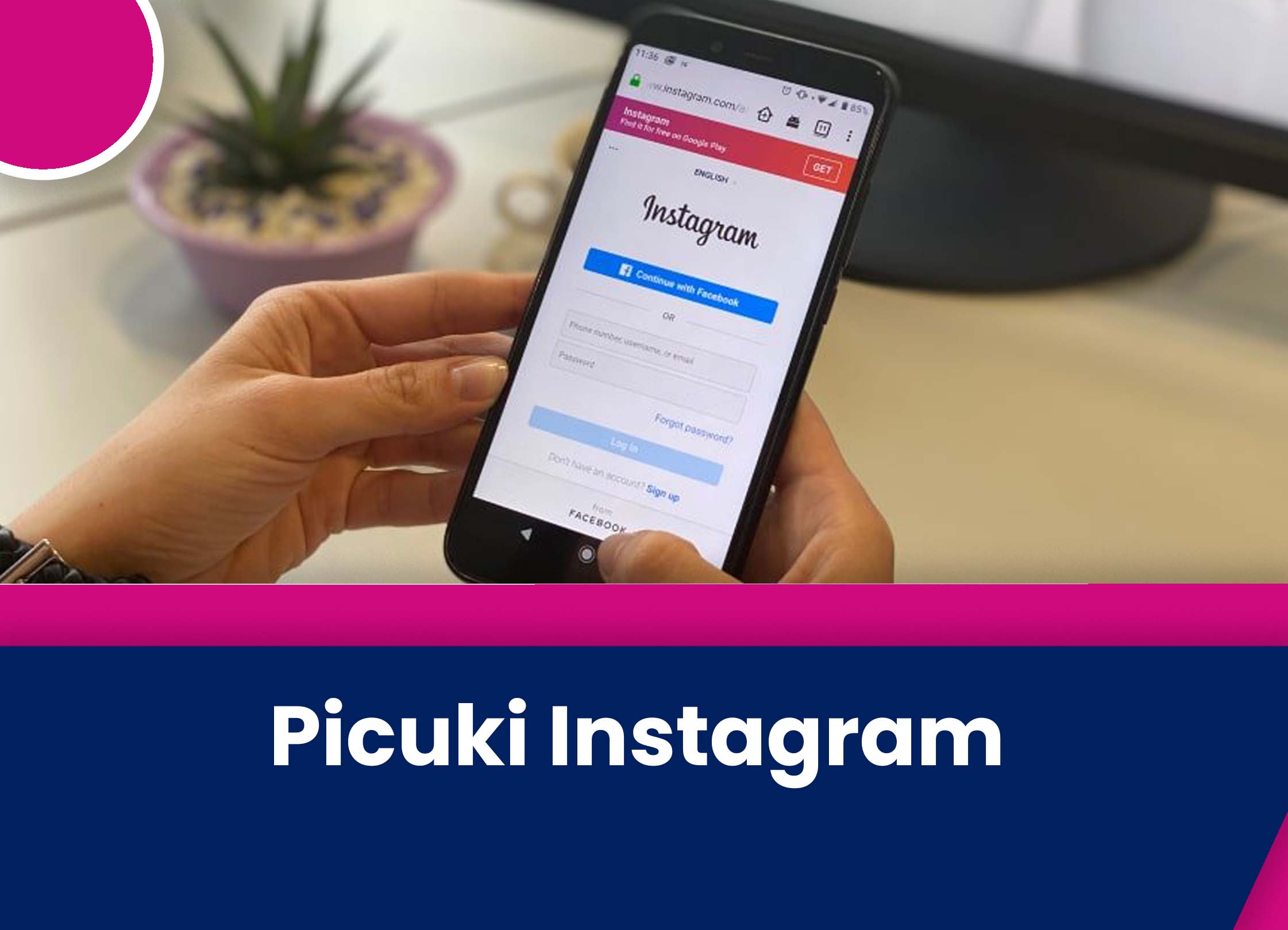 Picuki Instagram Viewer Reviews 2022 - Pros & Cons